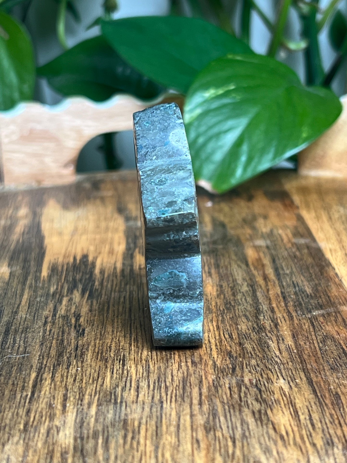 Blue Green Jasper Bunny: KA
