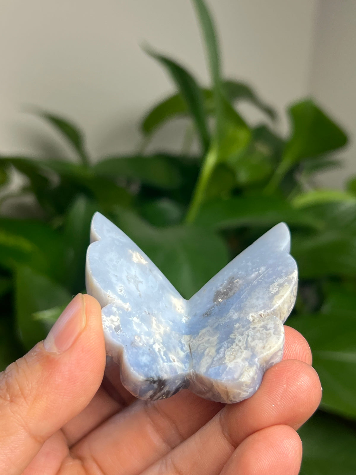 Blue Plume Agate 3D Butterfly: Ki