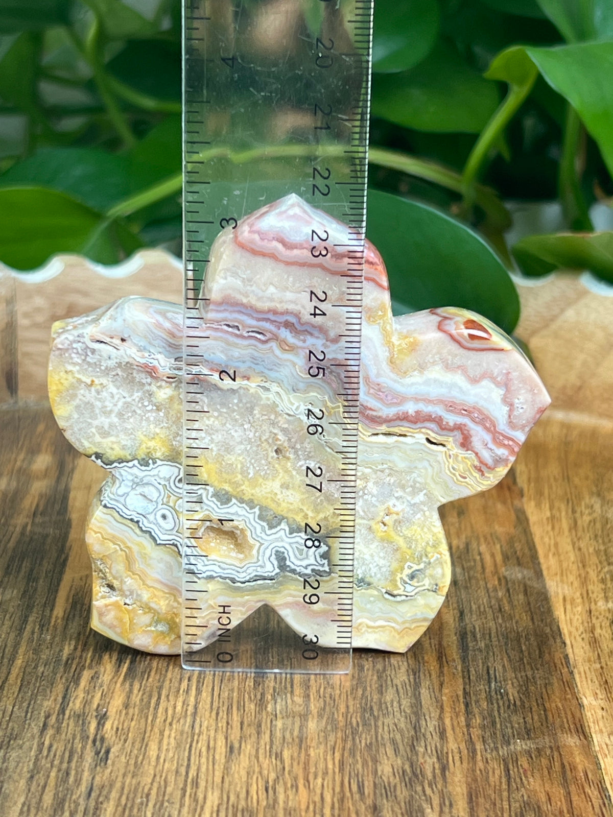 Crazy Lace Agate Flower: CE