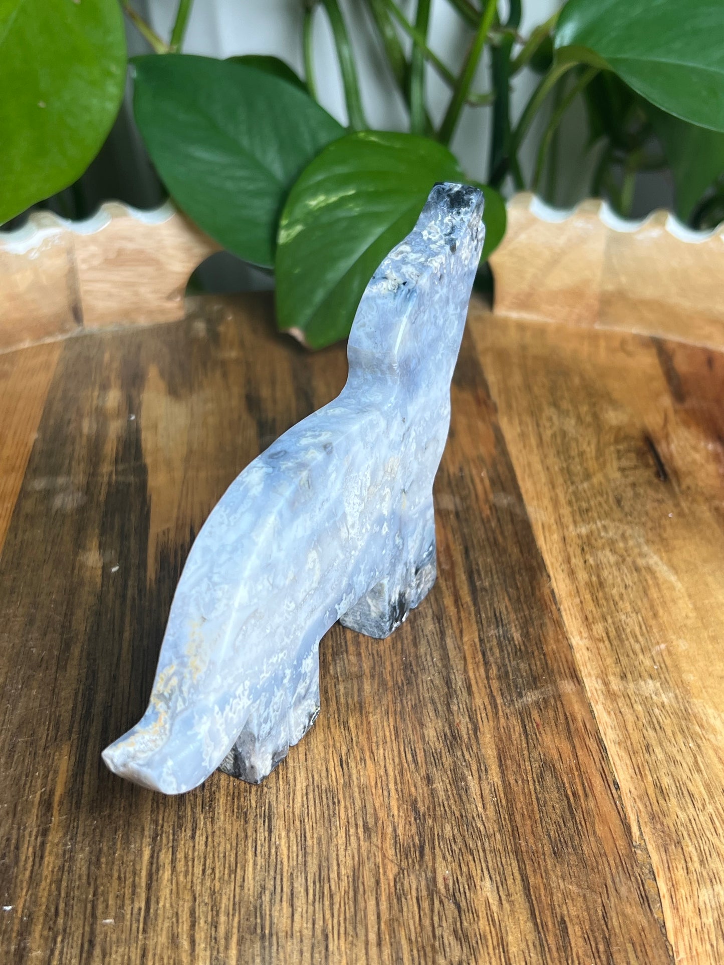 Blue Plume Agate Wolf: F