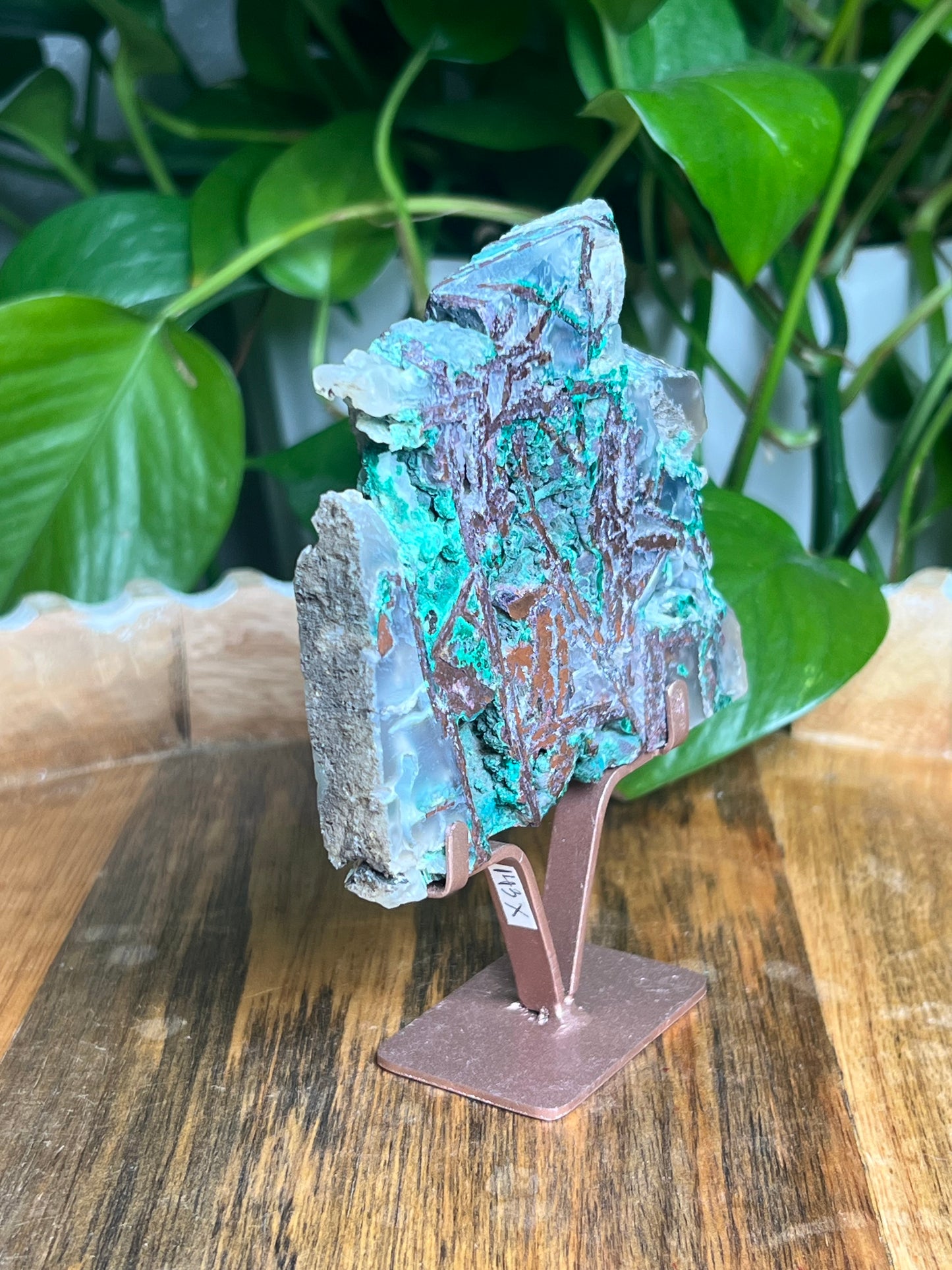 Copper In Malachite Chrysocolla and Chalcedony Slab: X