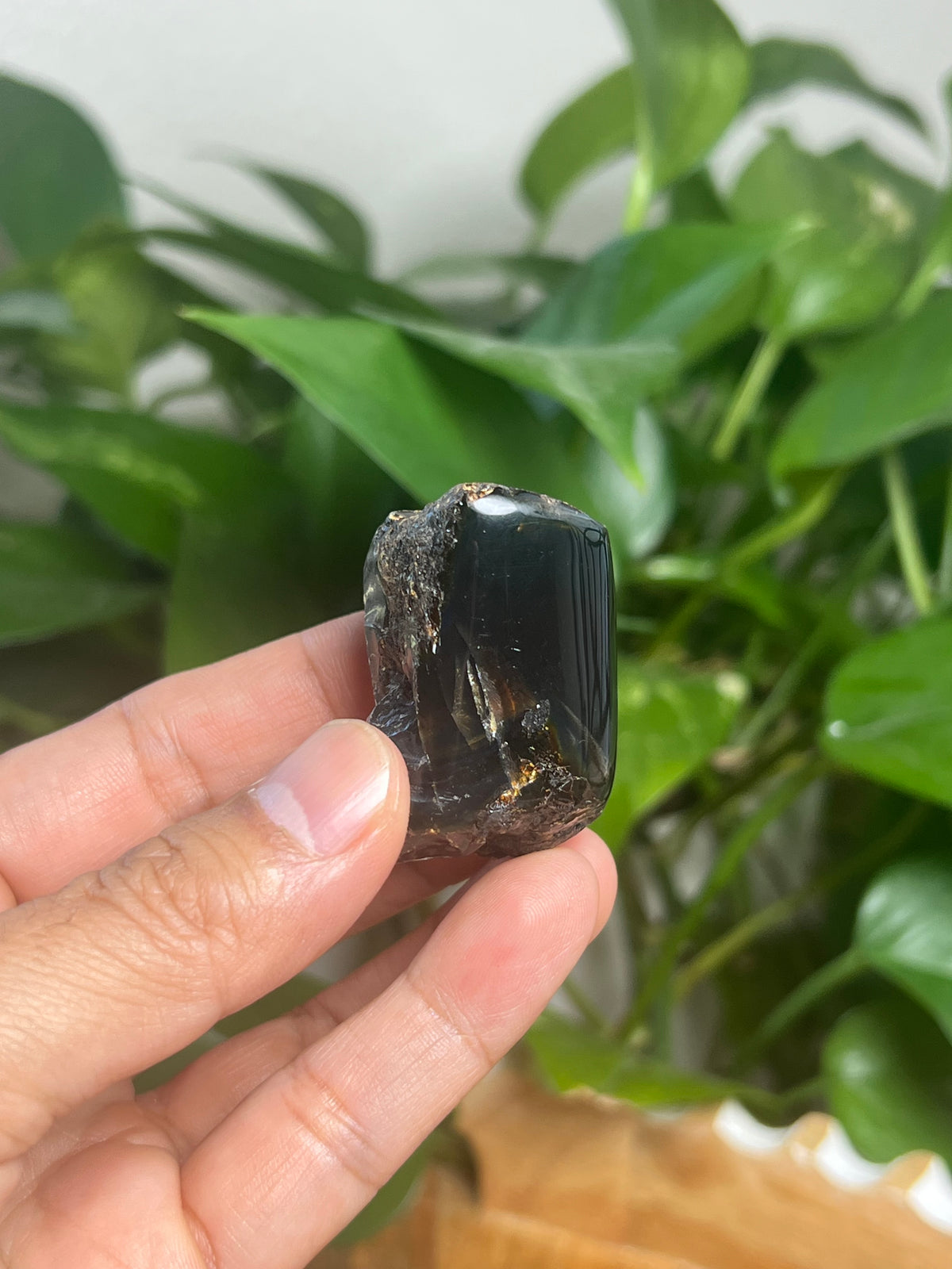 Blue Amber Freeform: SE