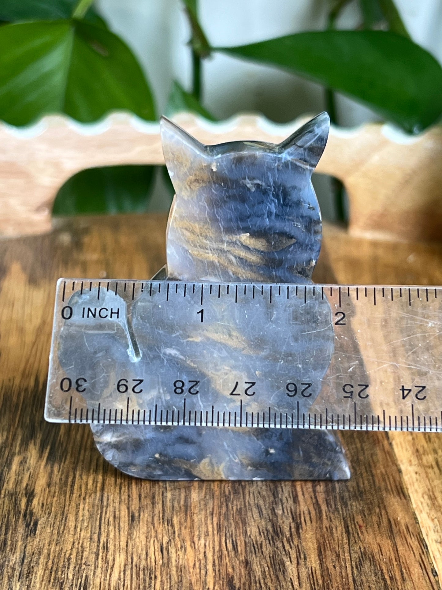 Dendritic Tiger Agate Cat AY