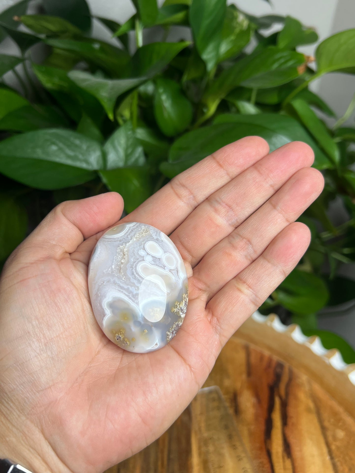 Scenic Moss Agate Palmstone: BX