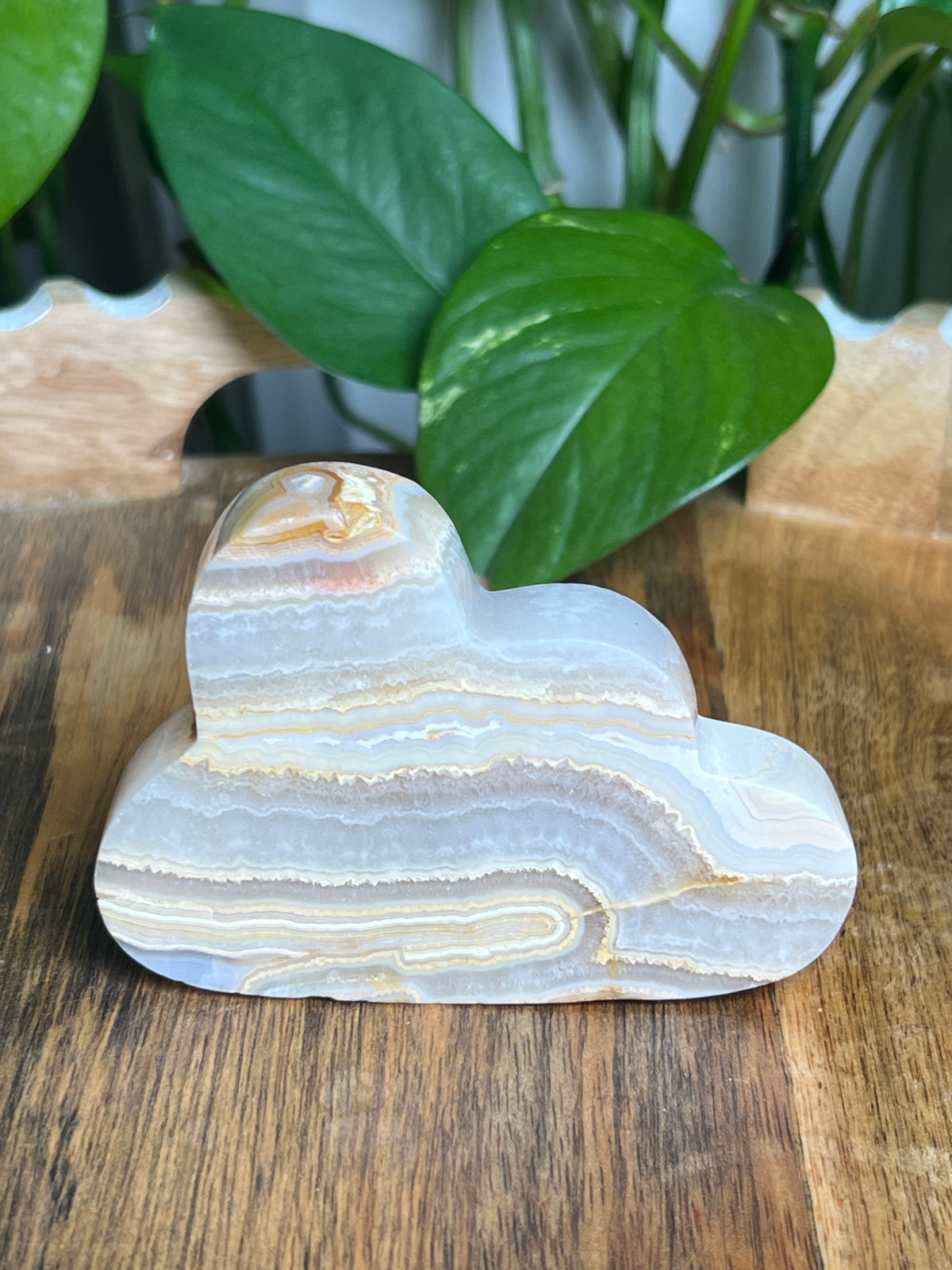 Crazy Lace Agate Cloud: EP