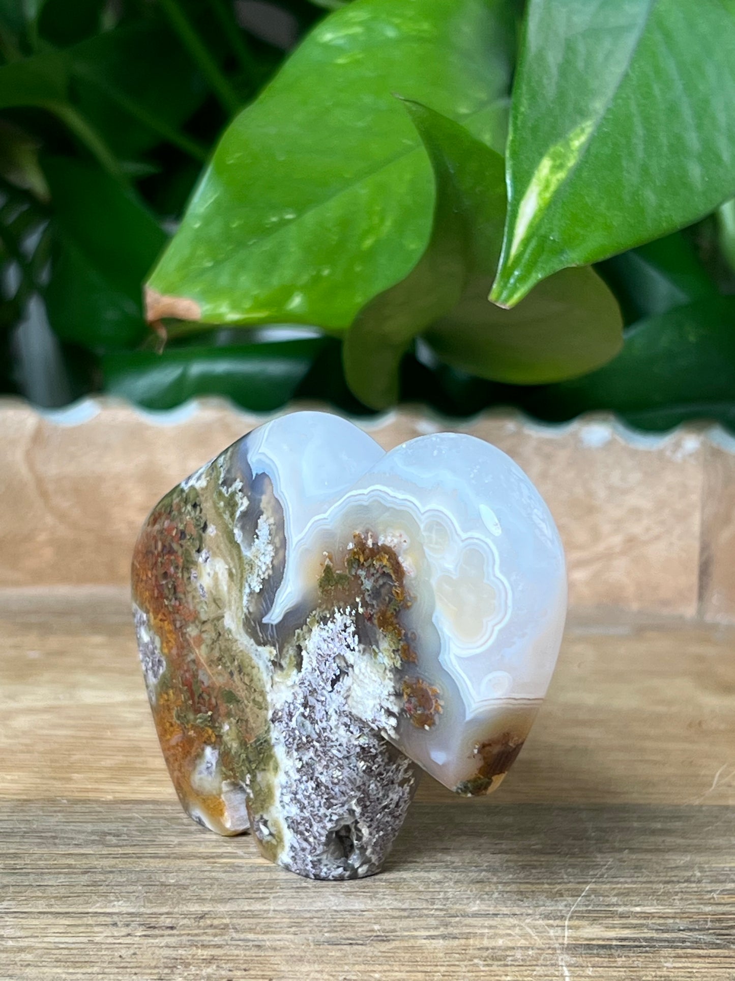 Scenic Moss Agate Buffalo