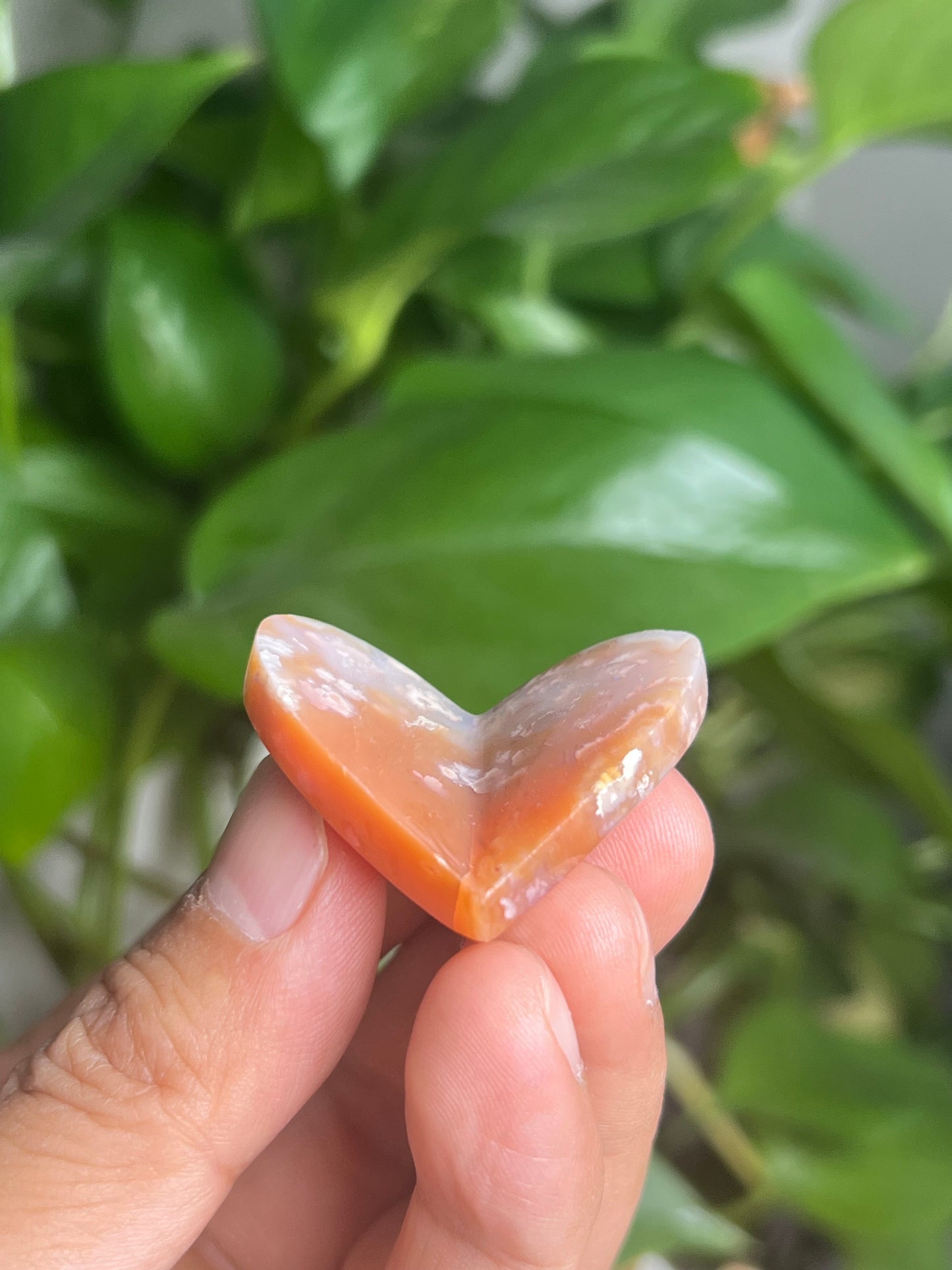 Flower Carnelian 3D Butterfly Heart: BN