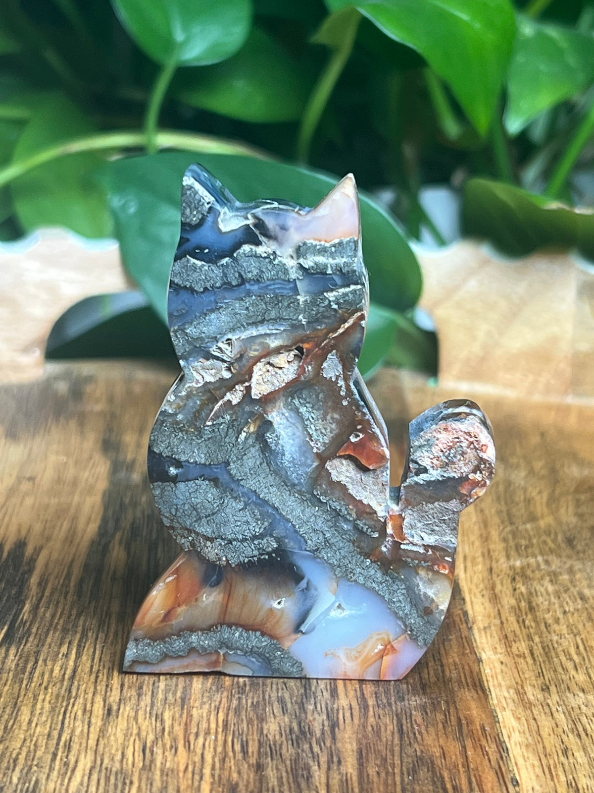 Marcasite Cat: DA