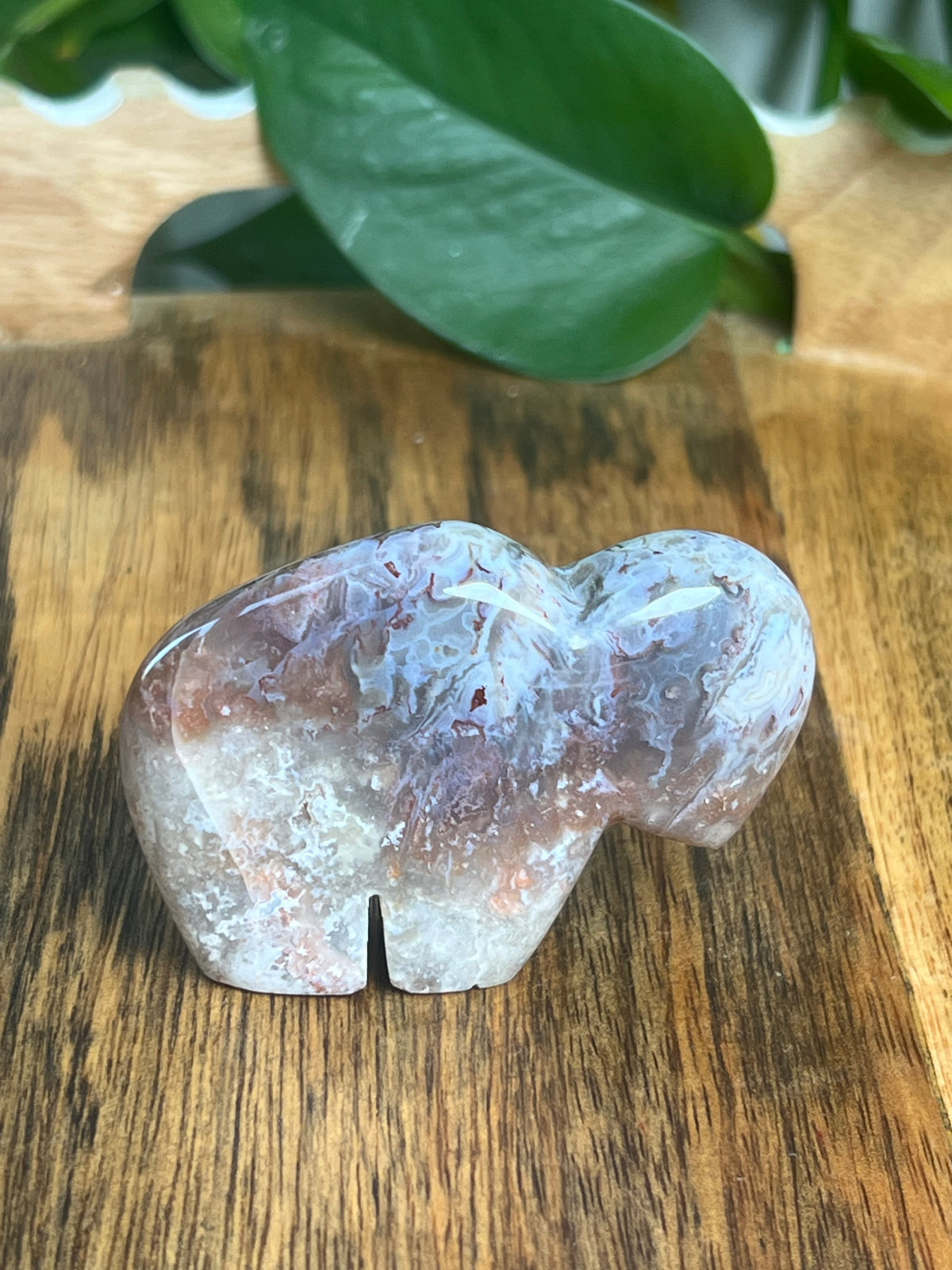 Sumatra Plume Agate Mini Buffalo: DB