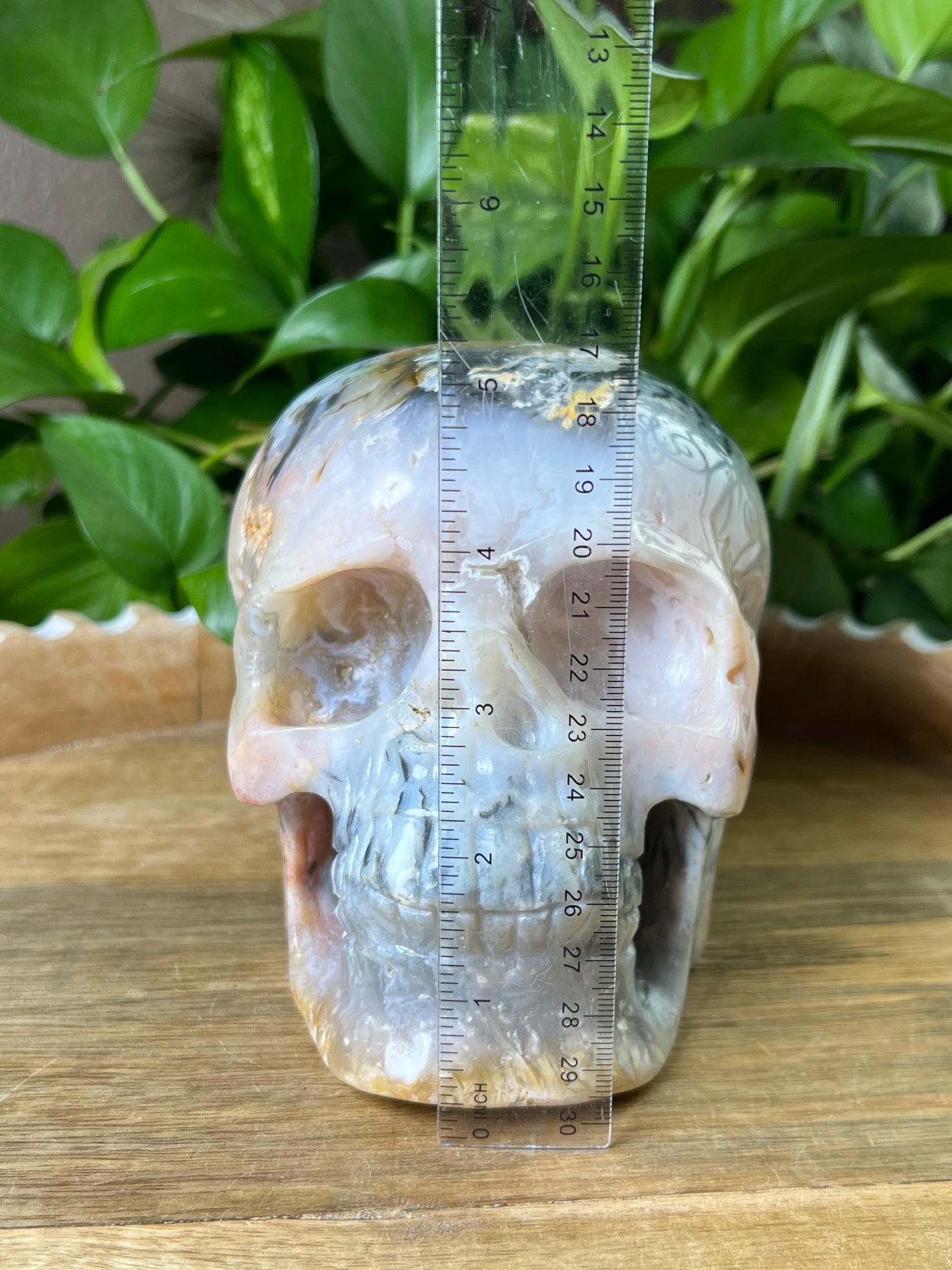 Rainbow Plume Agate Skull