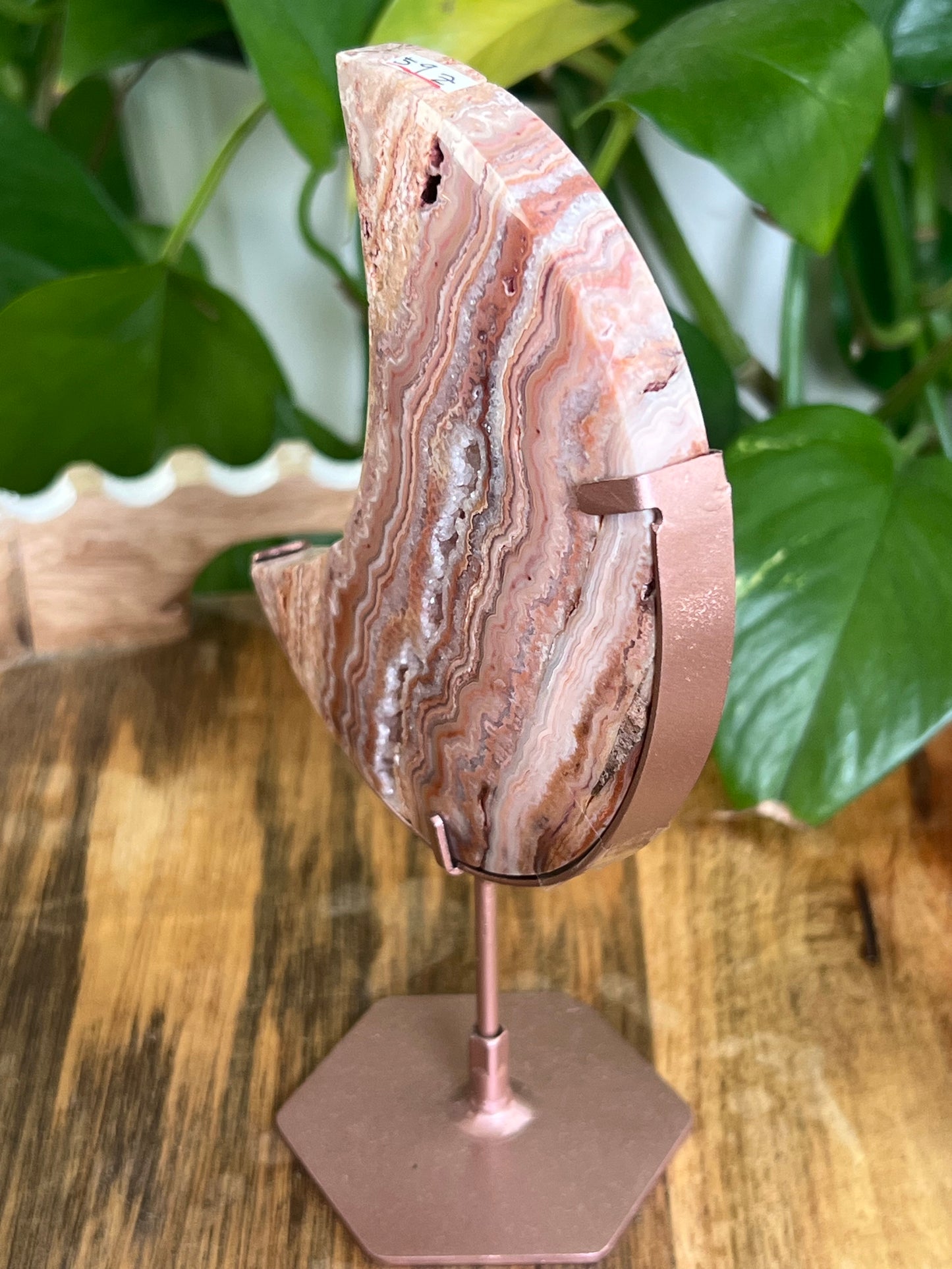 Crazy Lace Agate Moon Z