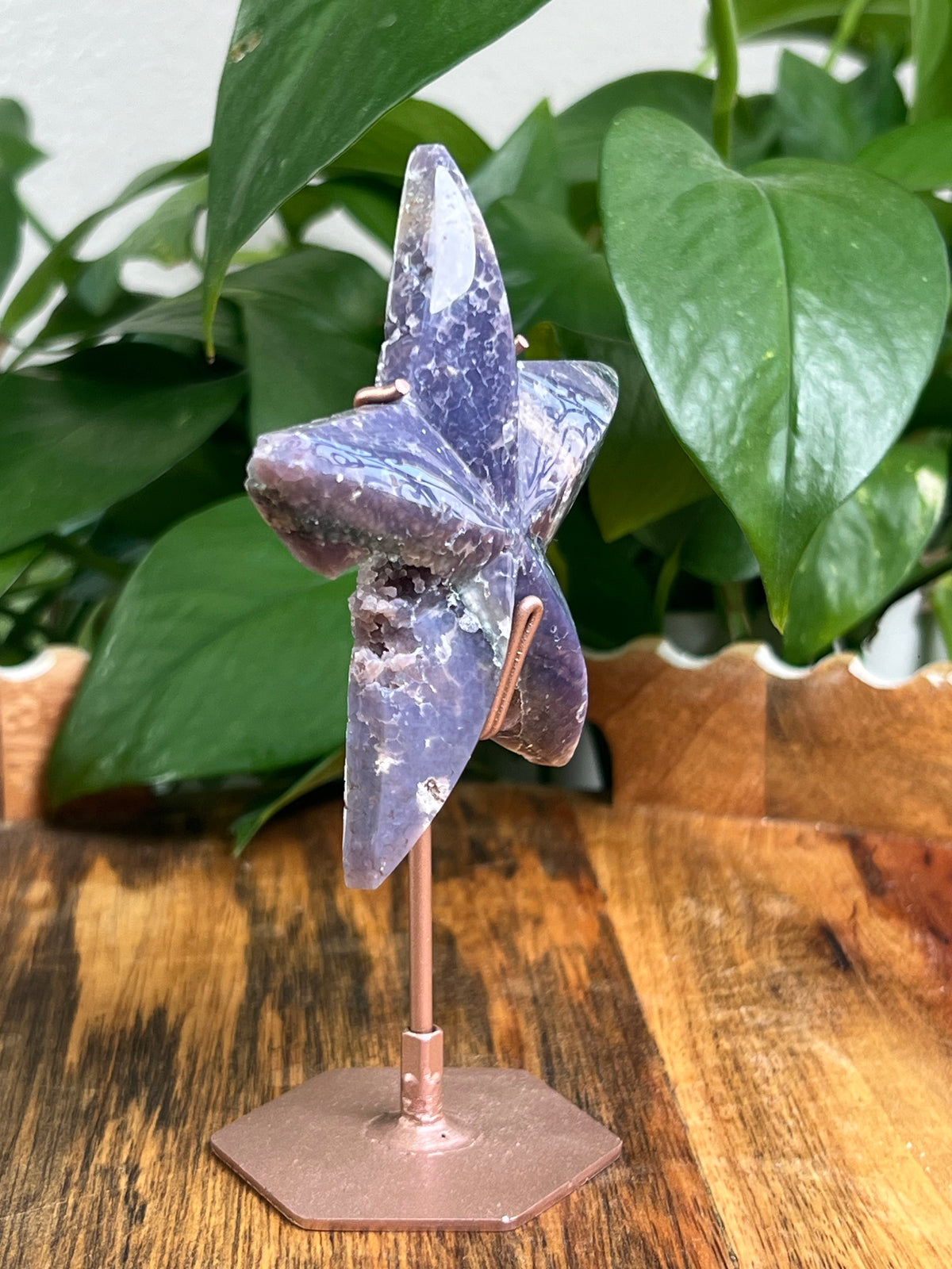 Grape Agate Star: F