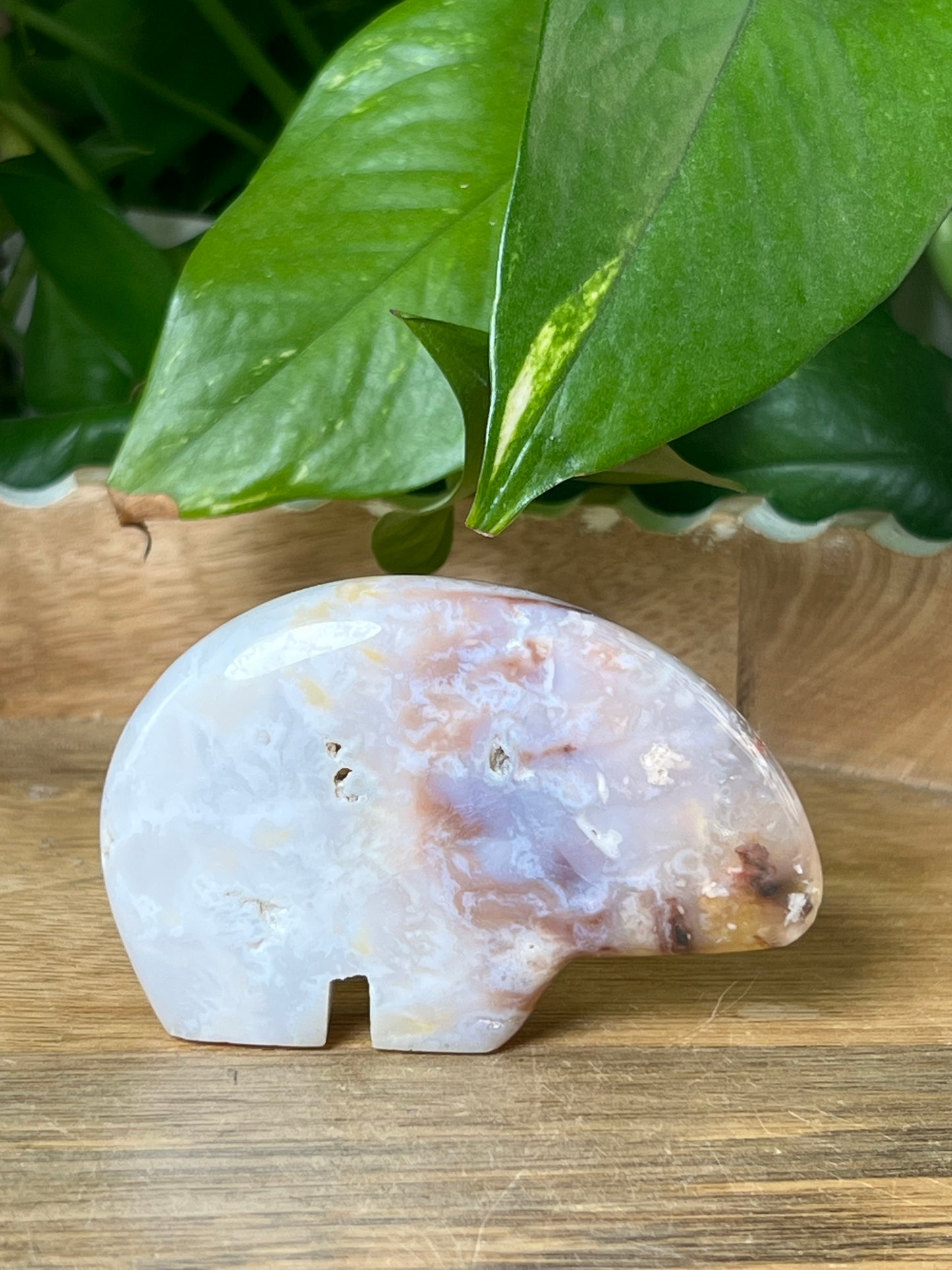 Rainbow Plume Agate Bear