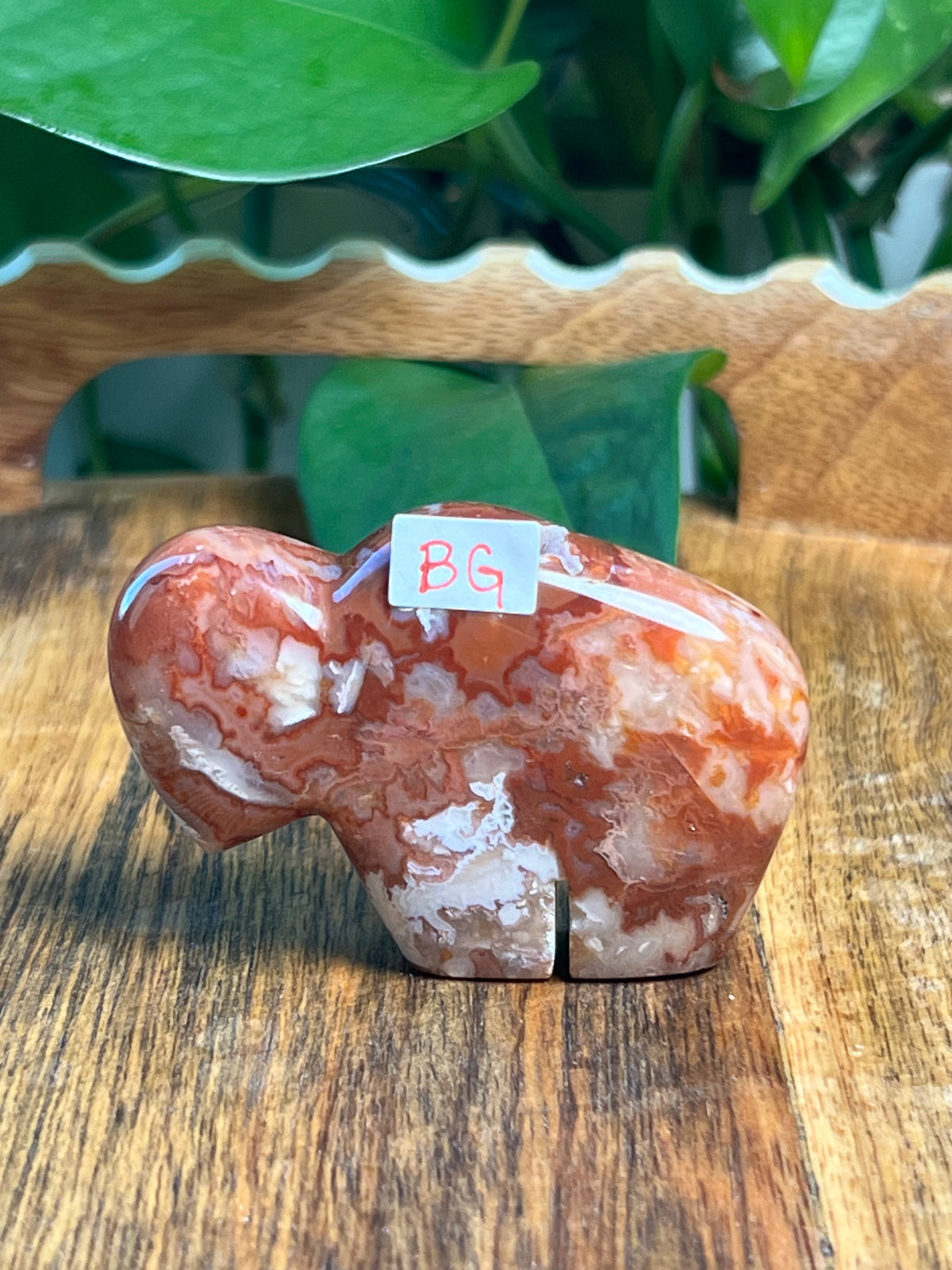 Carnelian Mini Buffalos