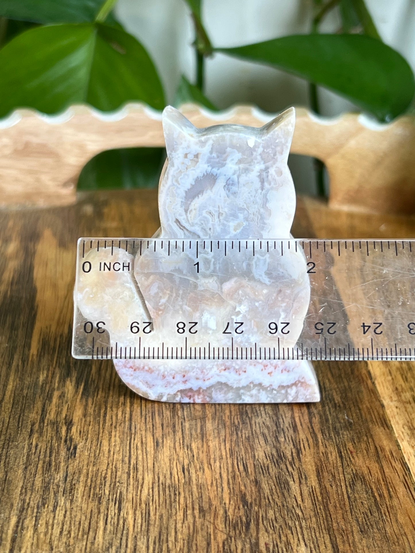 Sumatra Agate Cat EC