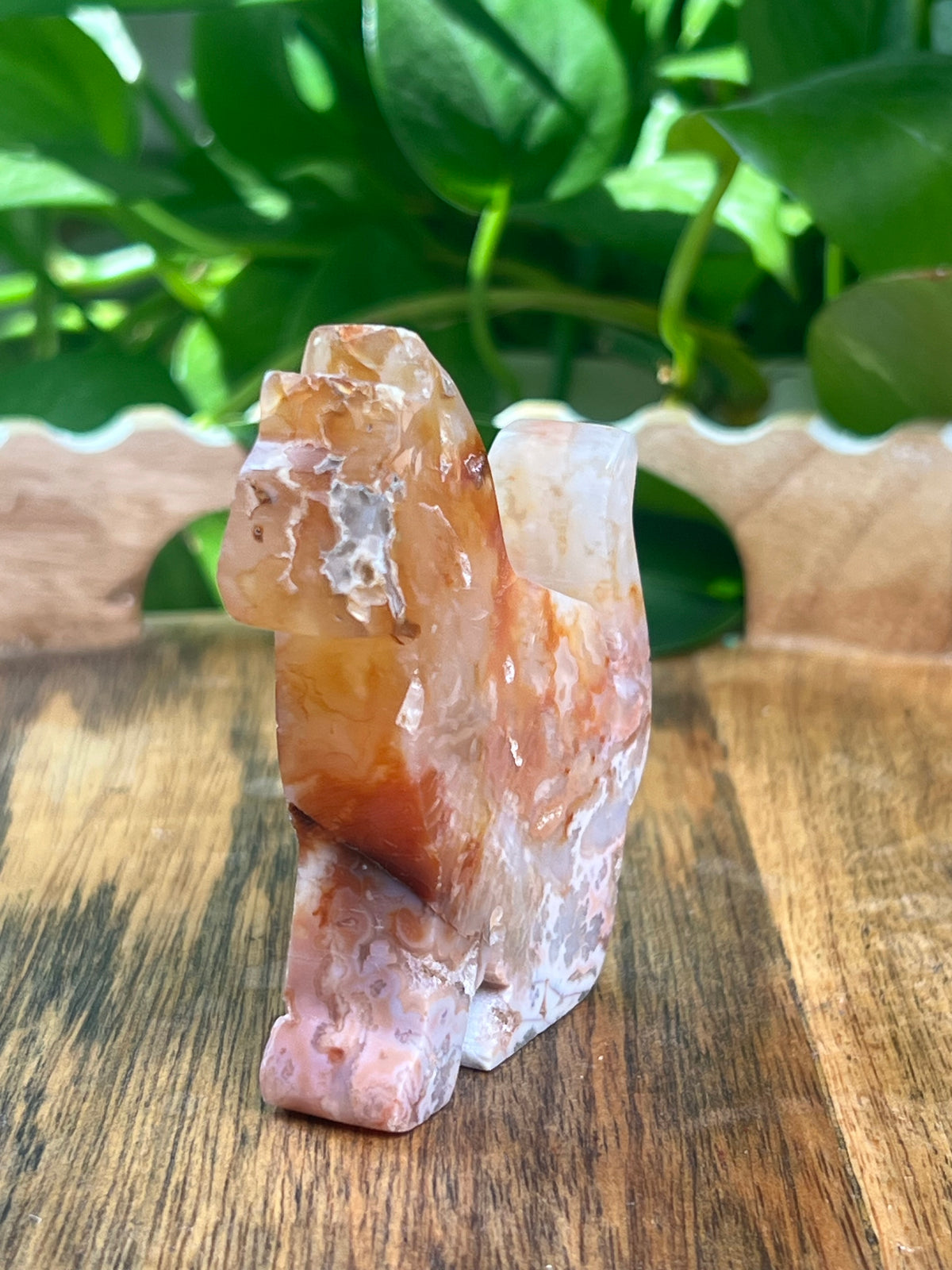 Carnelian Cat: PA