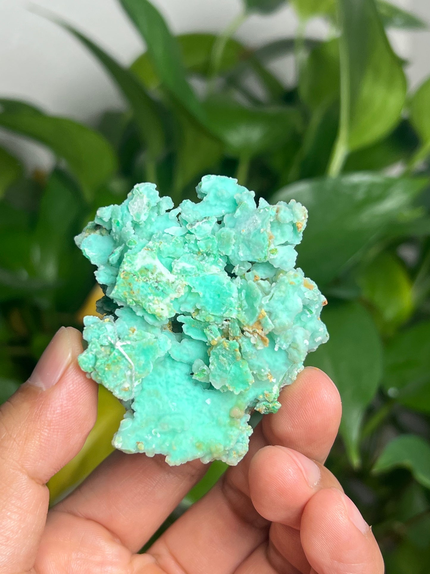 Smithsonite Specimen HX