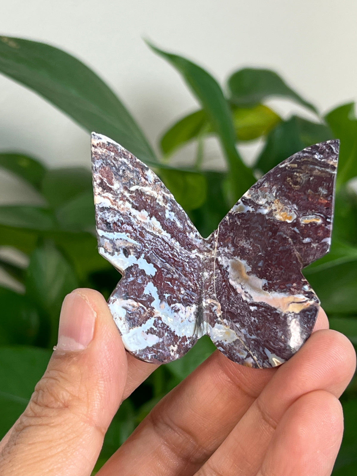 Burgundy River Jasper 3D Butterflies: Pointed Tips