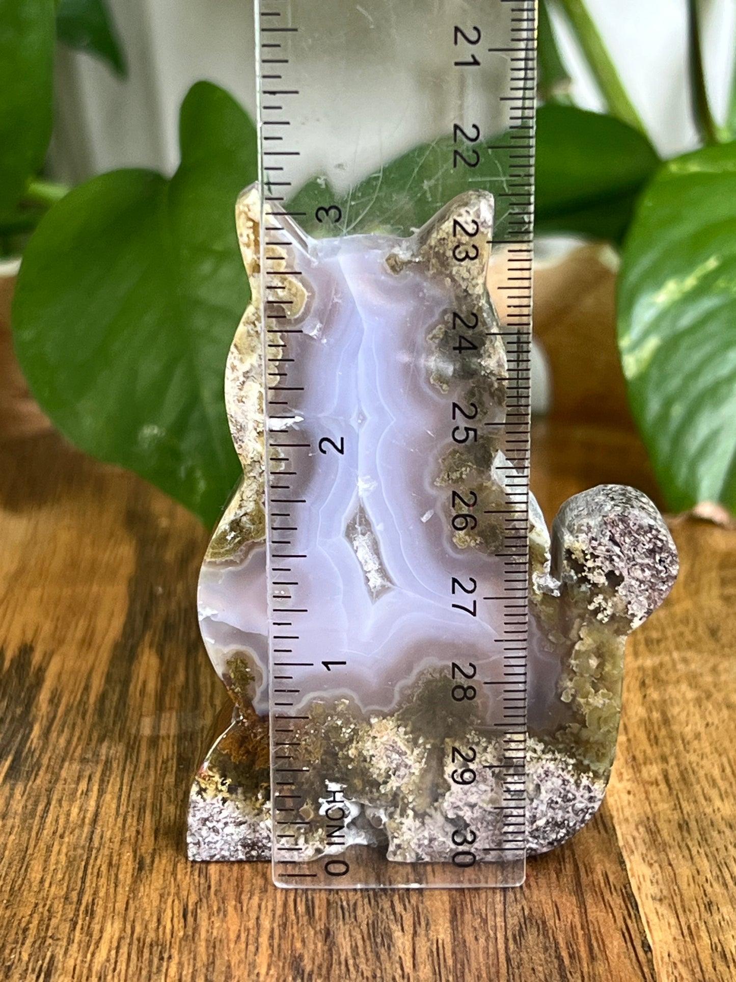 Scenic Moss Agate Cat HV
