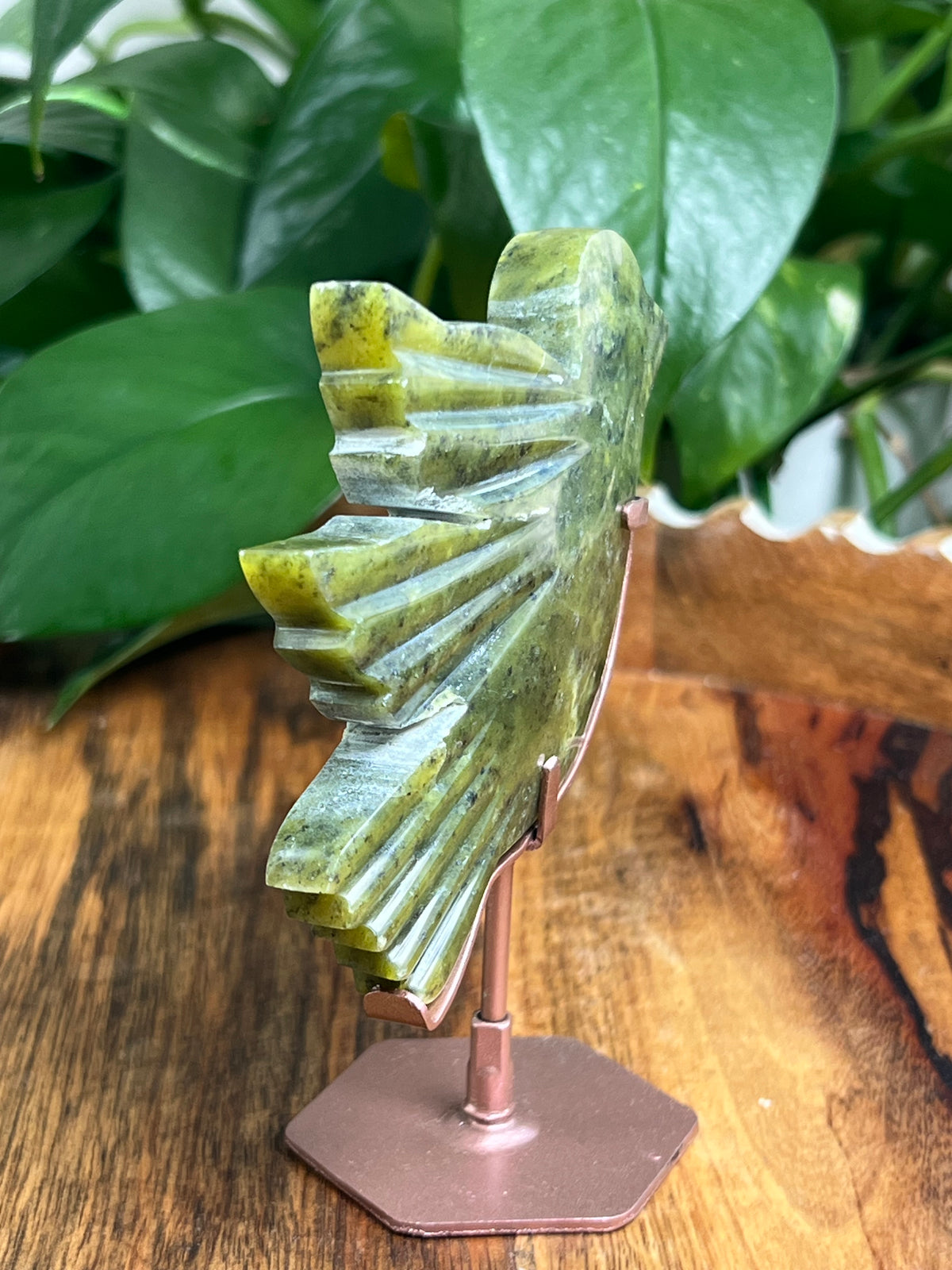 Idocrase Bird: ZC