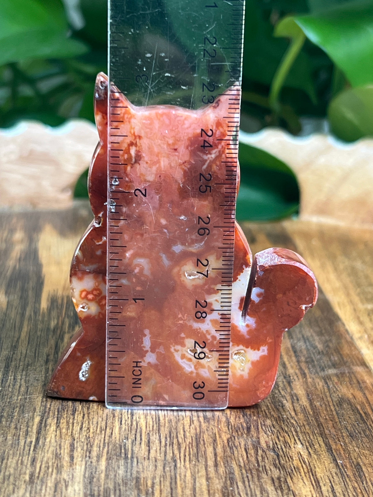 Carnelian Cat: PC