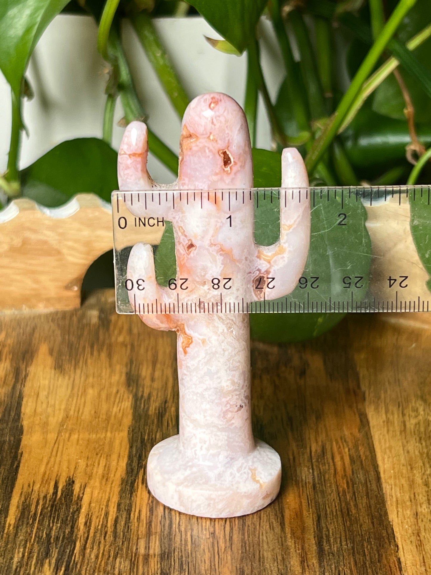 Pink Carnelian Cactus