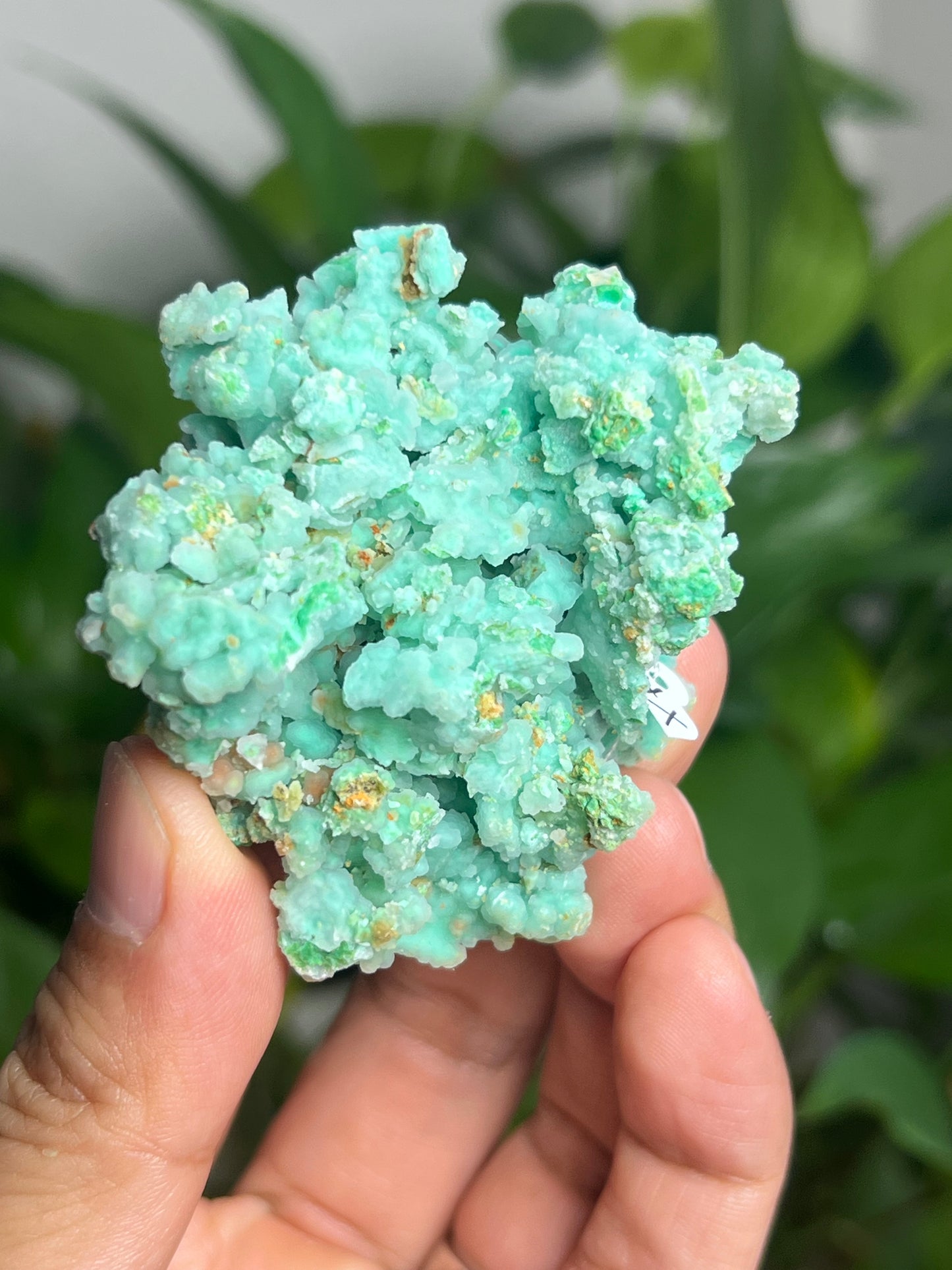 Smithsonite Specimen HX