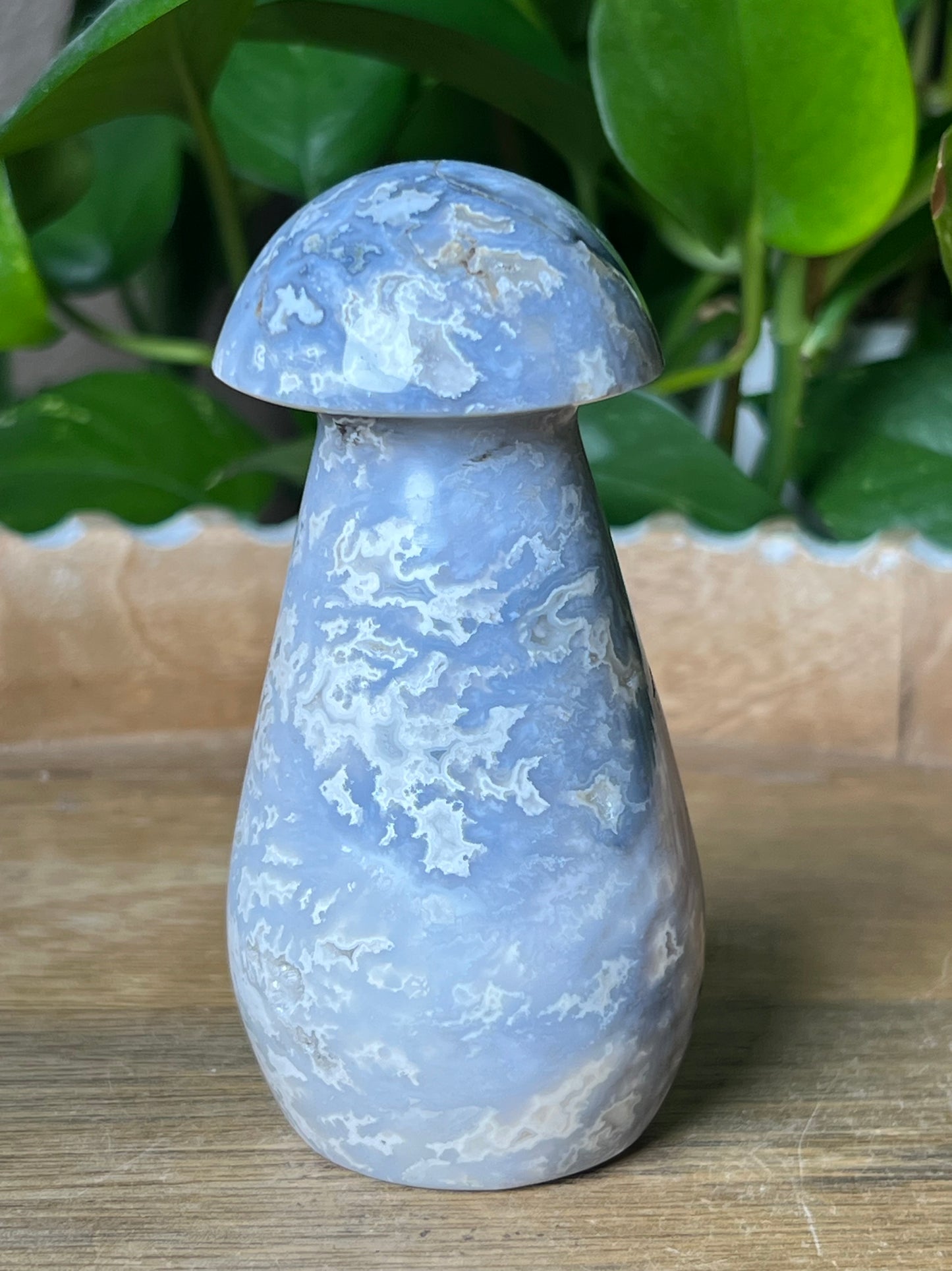 Blue Plume Agate Mushroom: PL