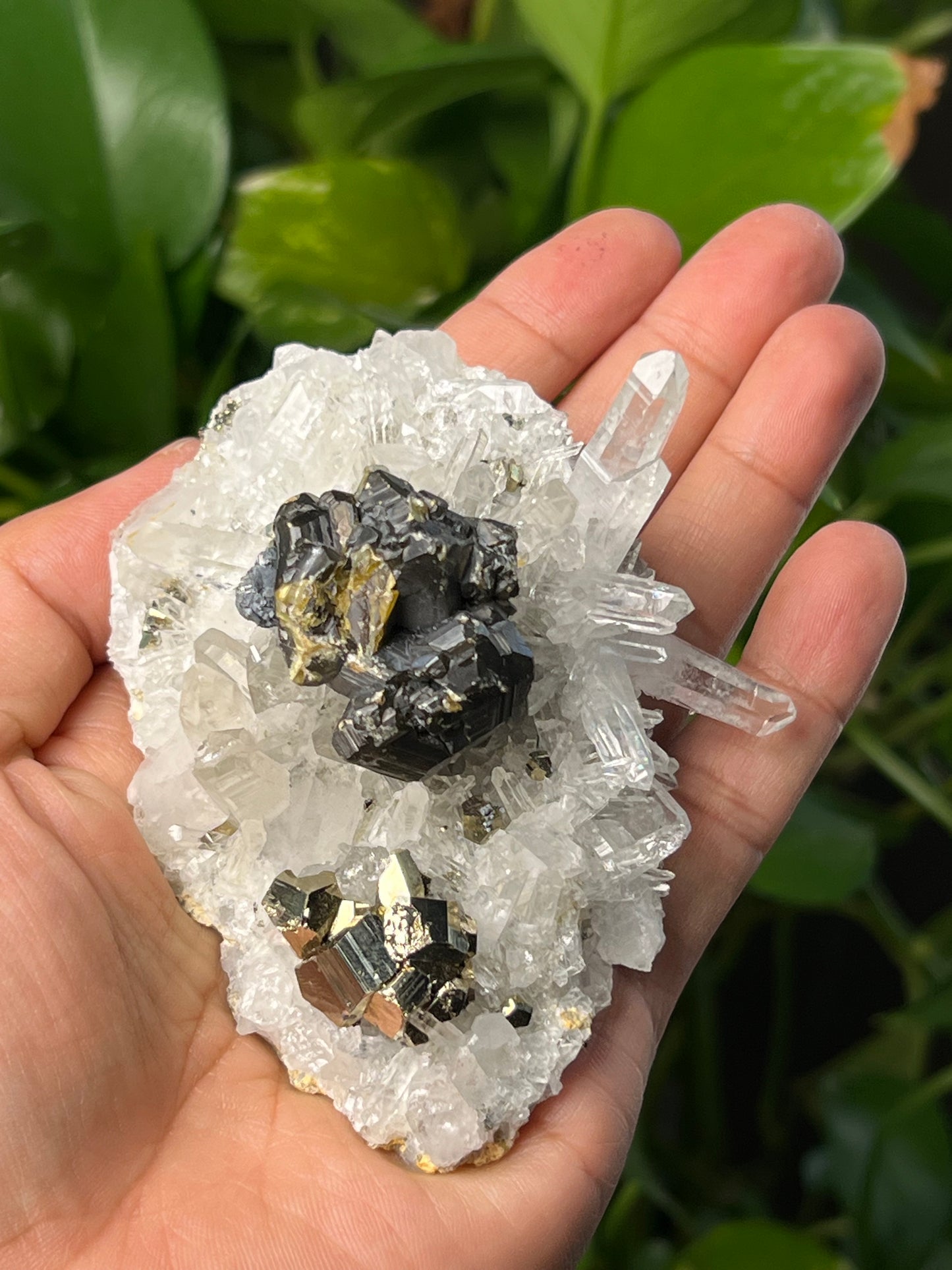 Rainbow Pyrite Quartz