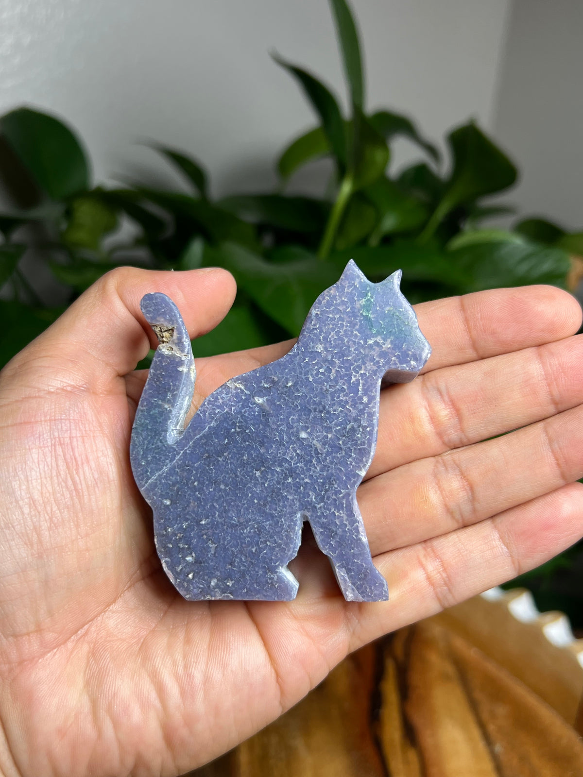 Grape Agate Cat: A