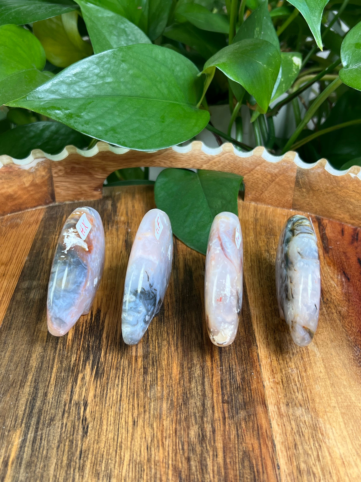 Rainbow Plume Agate Bears