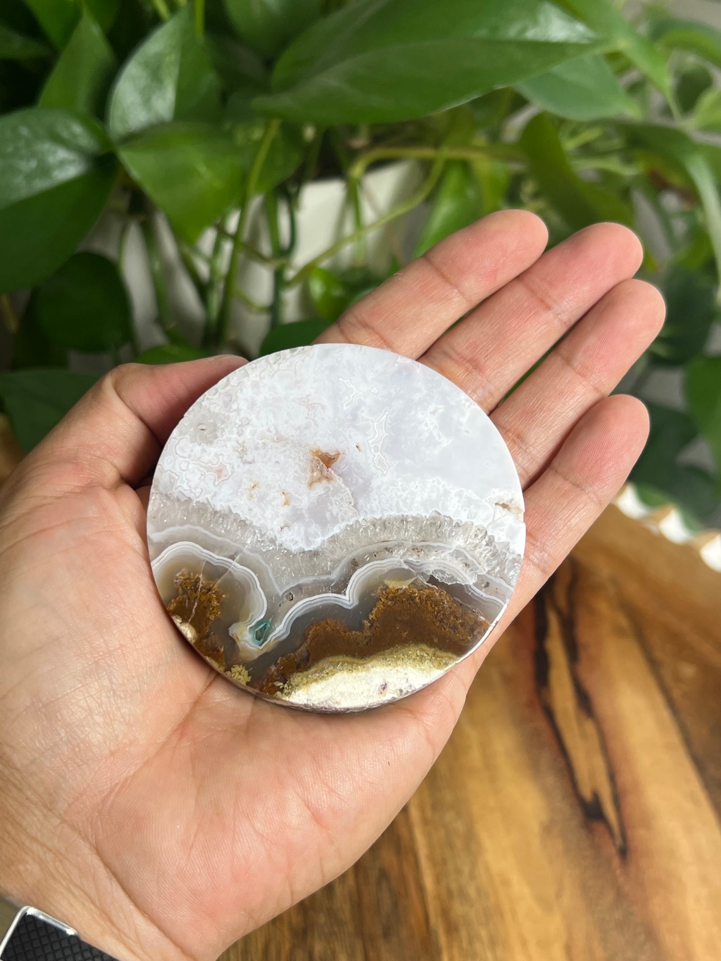 Scenic Moss Agate Coaster: AC