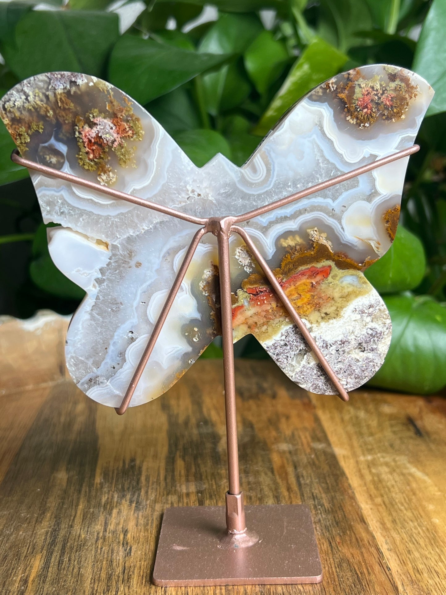 Scenic Moss Agate Butterfly
