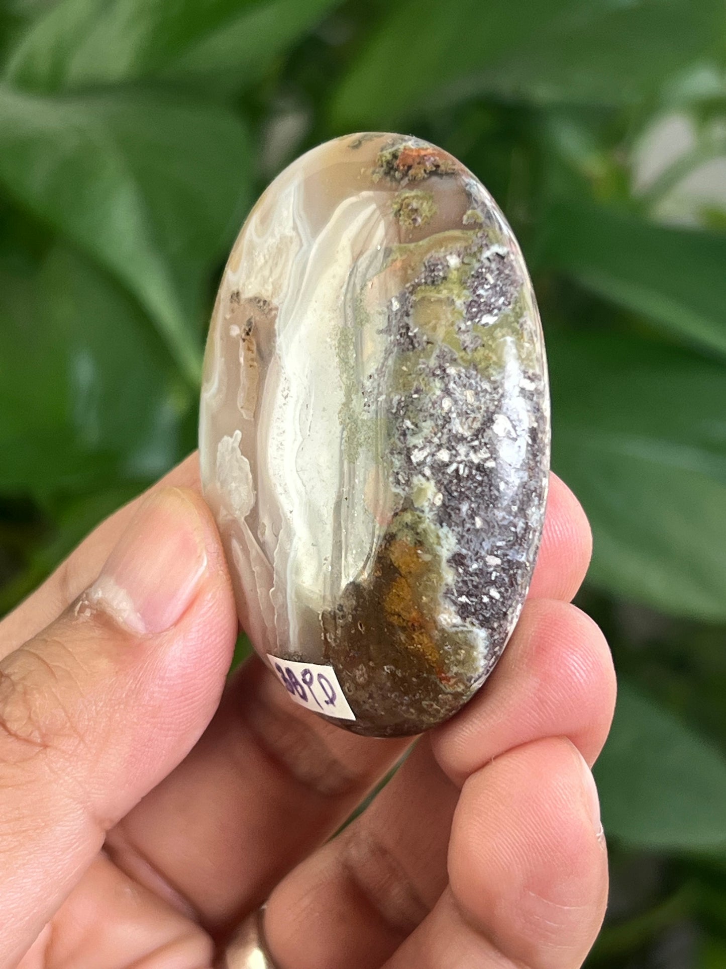 Scenic Moss Agate Palmstone: PD