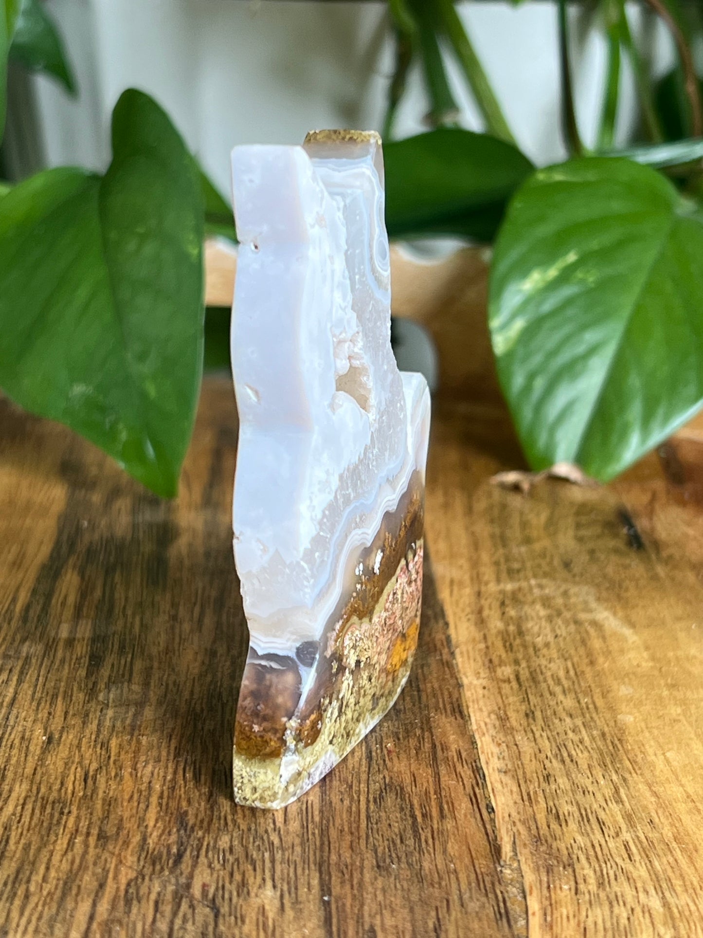 Scenic Moss Agate Cat HQ