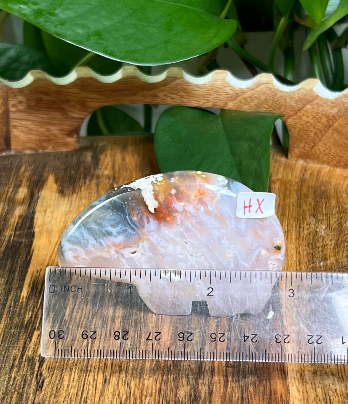 Rainbow Plume Agate Bears