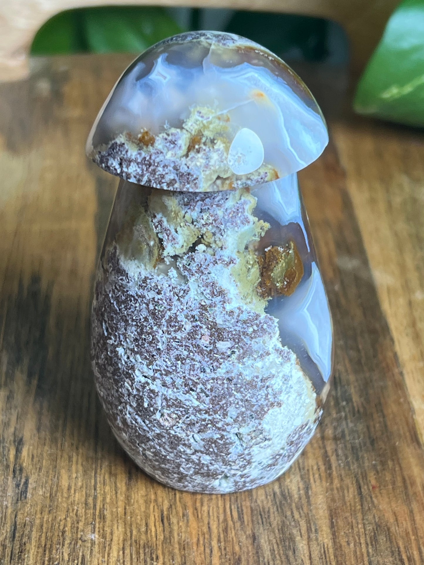 Scenic Moss Agate Mushroom
