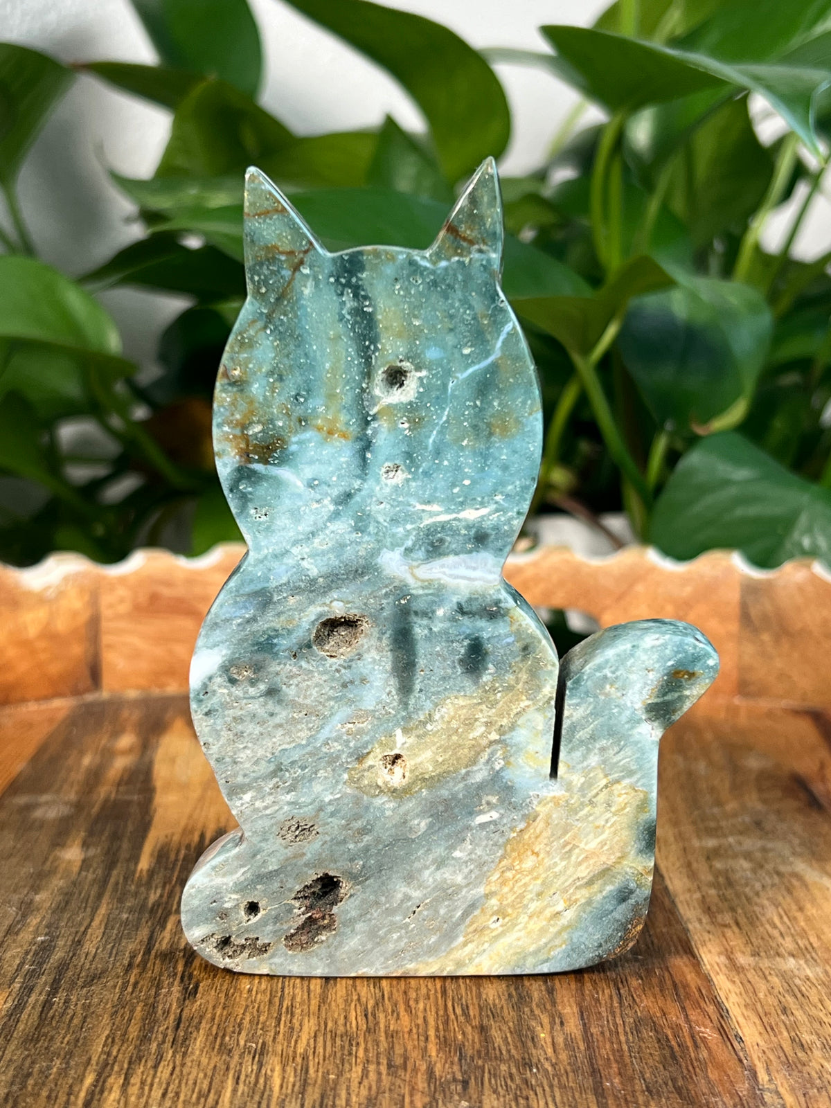 Blue Green Jasper Cats