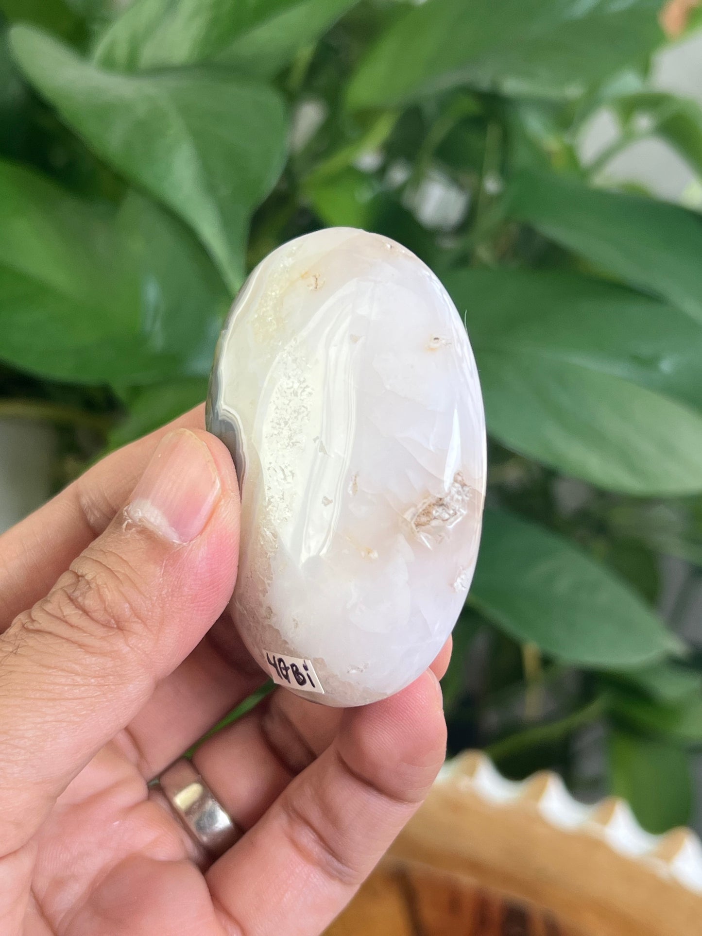 Scenic Moss Agate Palmstone: Bi