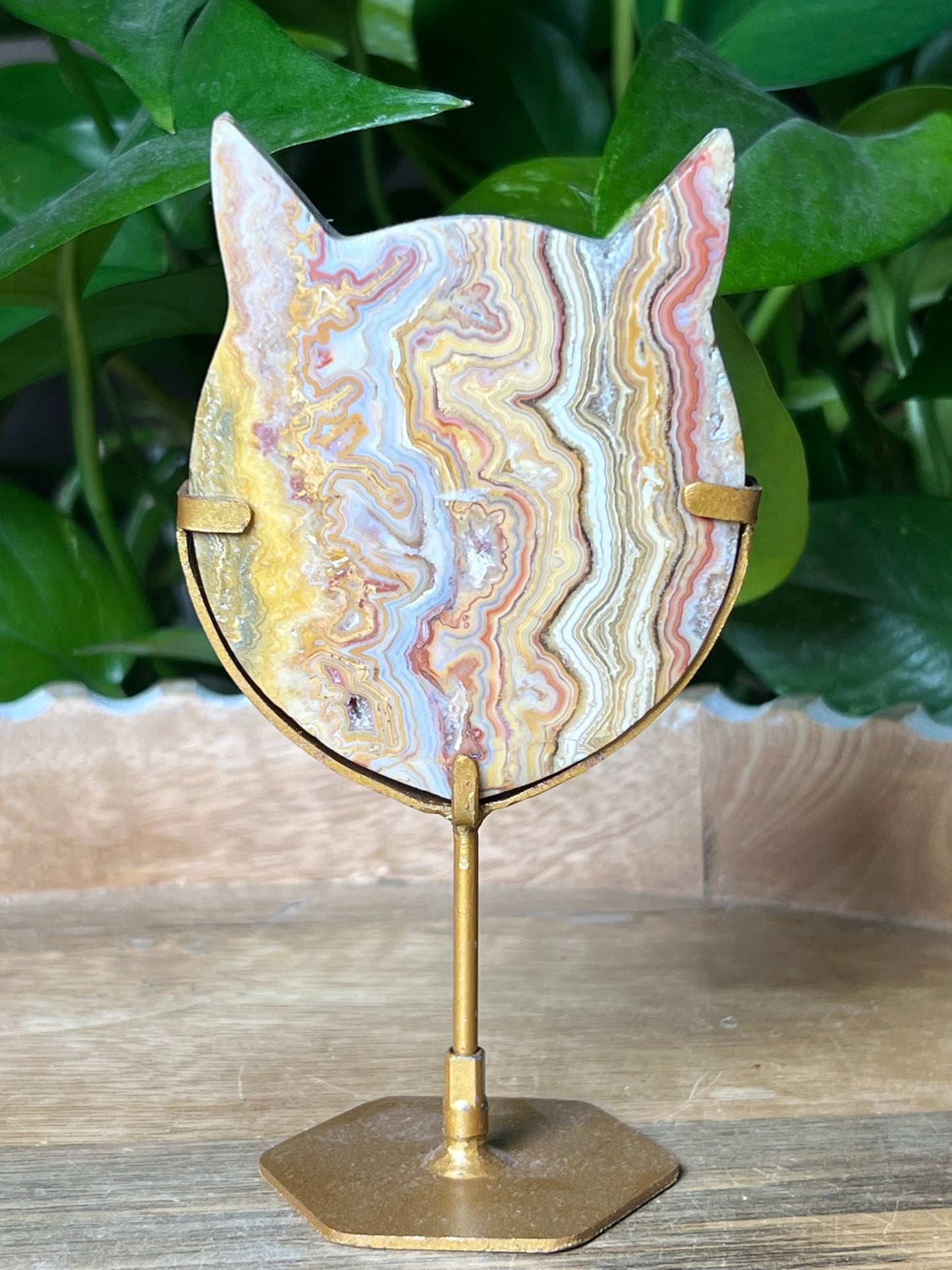 Crazy Lace Agate Cat Head