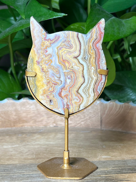 Crazy Lace Agate Cat Head