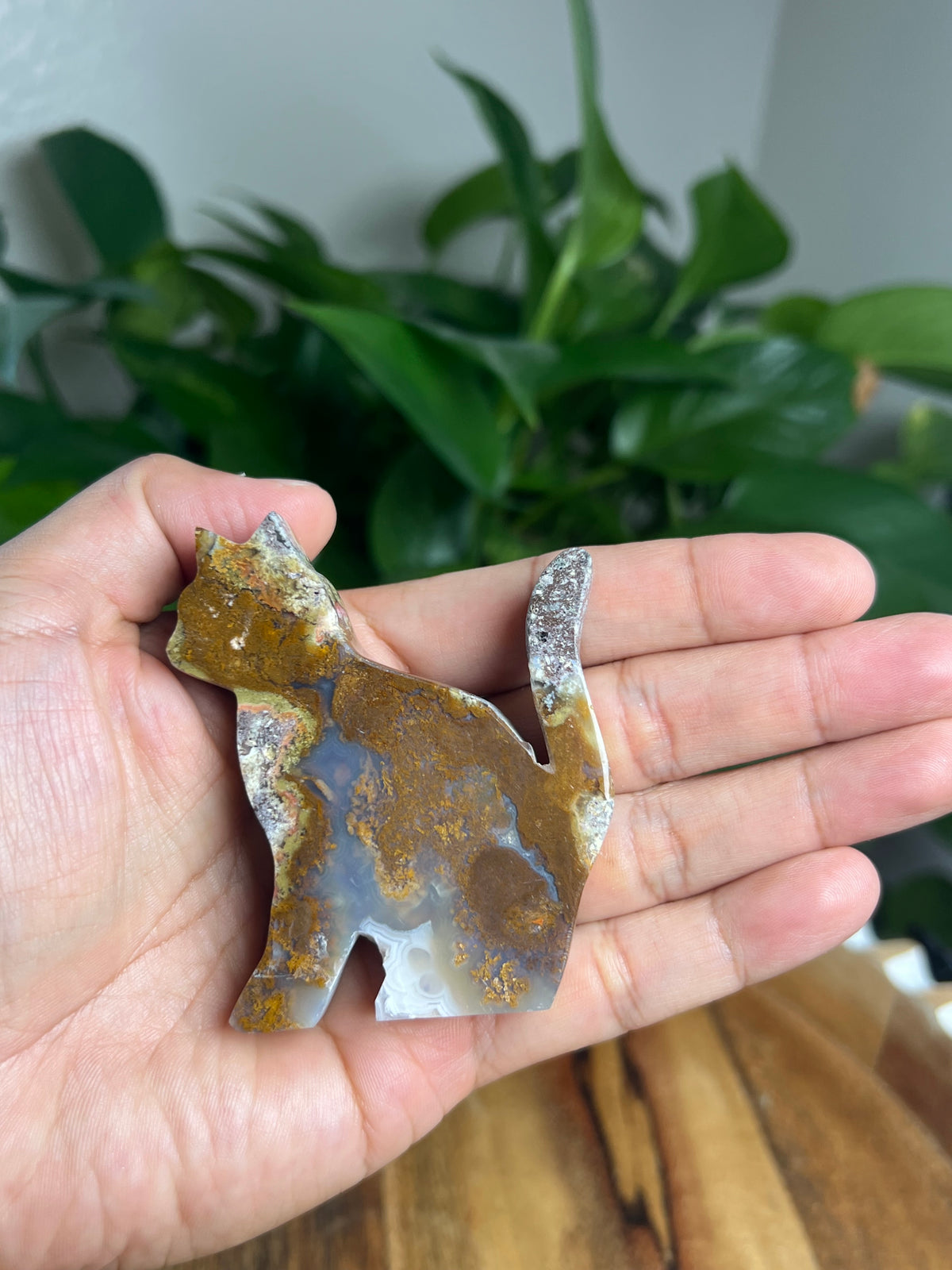 Scenic Moss Agate Cat: RE