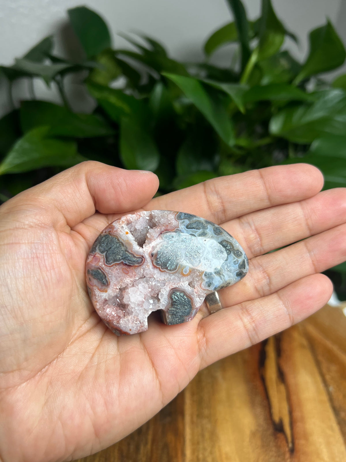 Marcasite Mini Bear: Bi