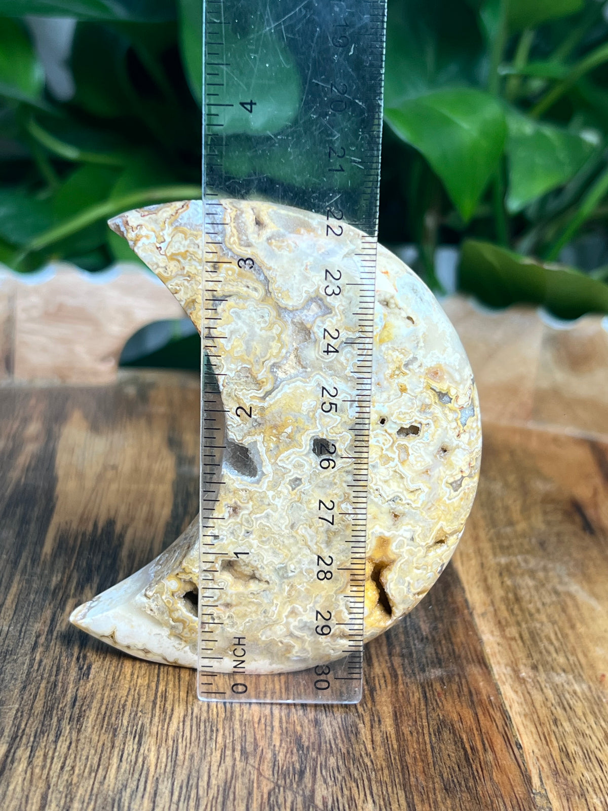 Crazy Lace Agate Self Standing Moon: CC