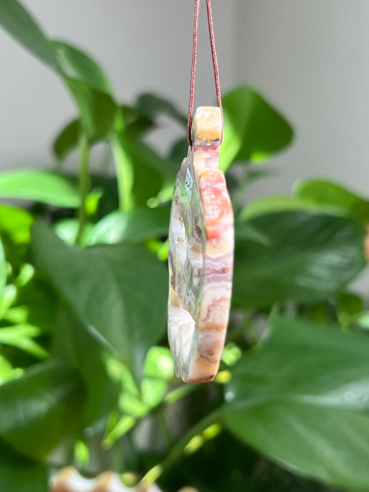 Crazy Lace Agate Ornament Pumpkin:  PH