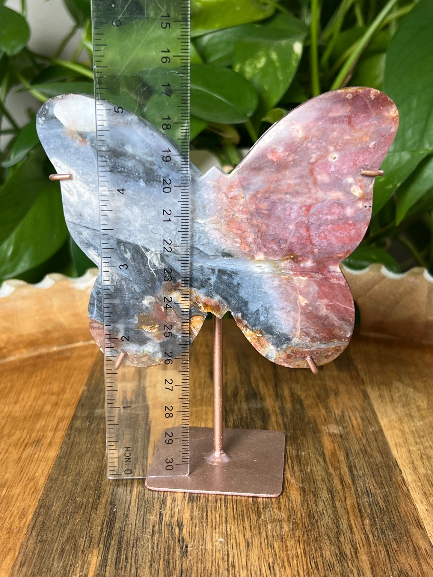 River Jasper Butterfly