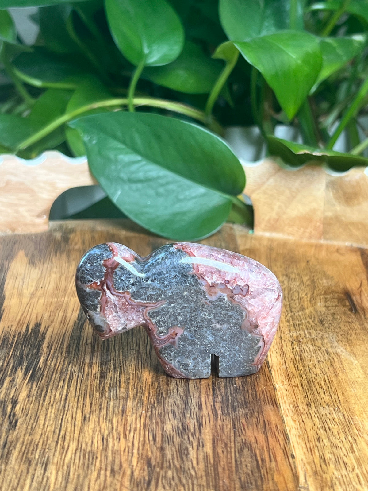 Marcasite Mini Buffalo: MA