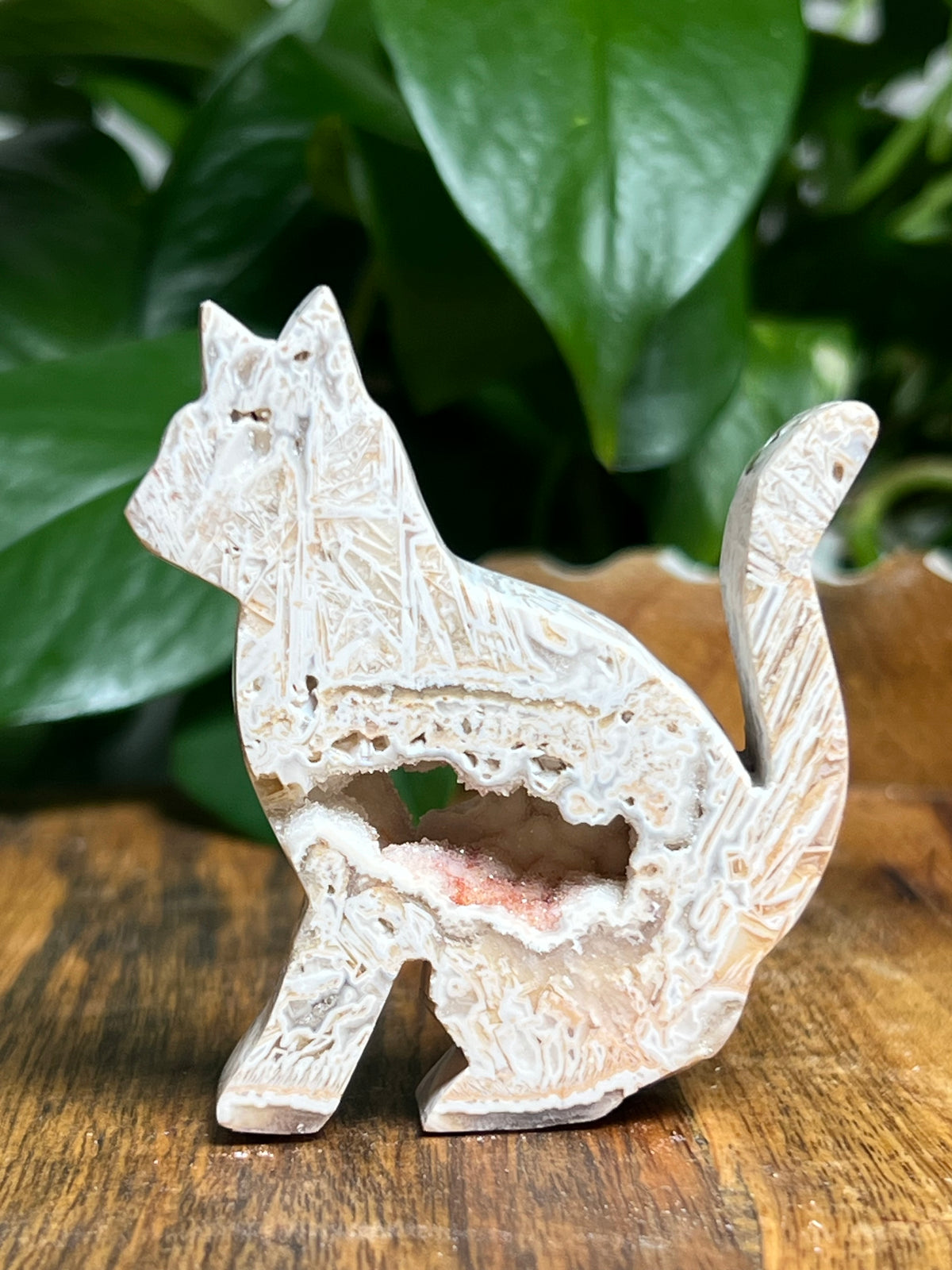 Tube Agate Cats