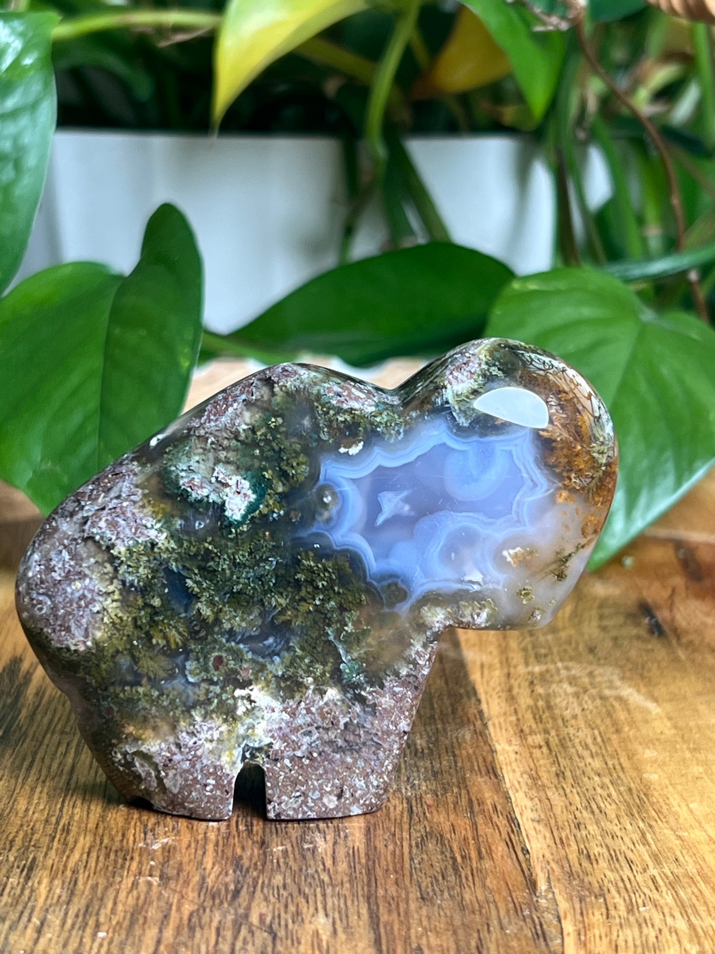 Scenic Moss Agate Buffalo NB