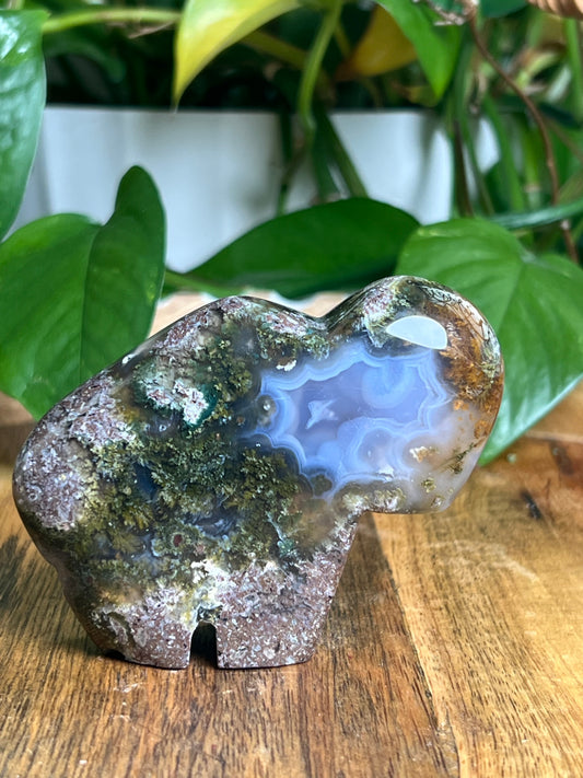 Scenic Moss Agate Buffalo NB